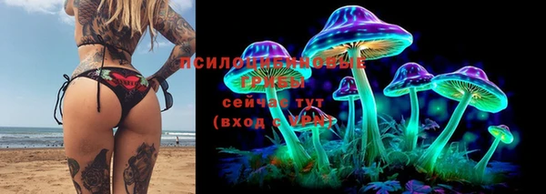 синтетический гашиш Алексеевка