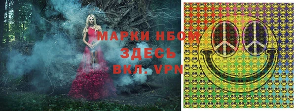 ГАЛЛЮЦИНОГЕННЫЕ ГРИБЫ Алексин