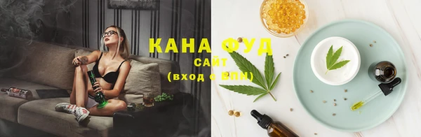 молекула духа Алзамай