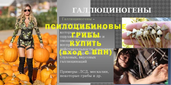 ГАЛЛЮЦИНОГЕННЫЕ ГРИБЫ Алексин
