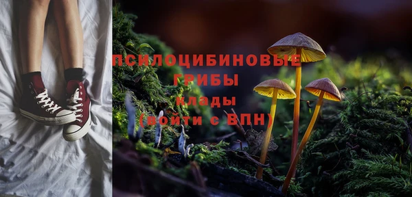 молекула духа Алзамай