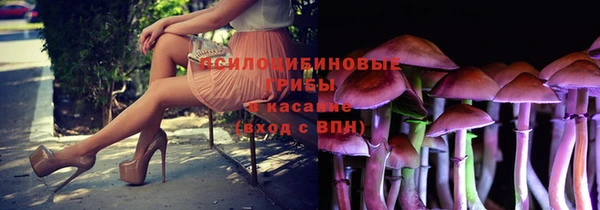 ГАЛЛЮЦИНОГЕННЫЕ ГРИБЫ Алексин