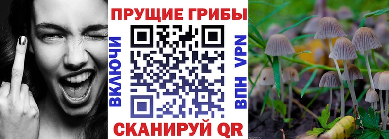 Галлюциногенные грибы Cubensis  что такое наркотик  Орлов 
